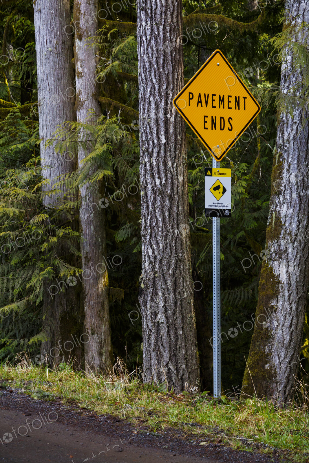 Pavement Ends road sign, Olympic National Forest, Port Angeles, WA USA