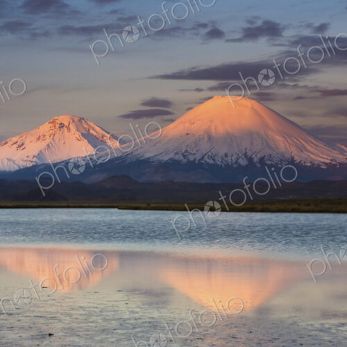 Payachata Volcanoes, twin volcanoes each standing over twenty thousand feet high,… Payachata Volcanoes, twin volcanoes each standing over twenty thousand feet high,…