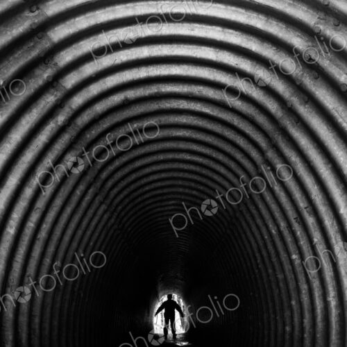 Pedestrian tunnel, Olympic National Park, Washington, USA Pedestrian tunnel, Olympic National Park, Washington, USA