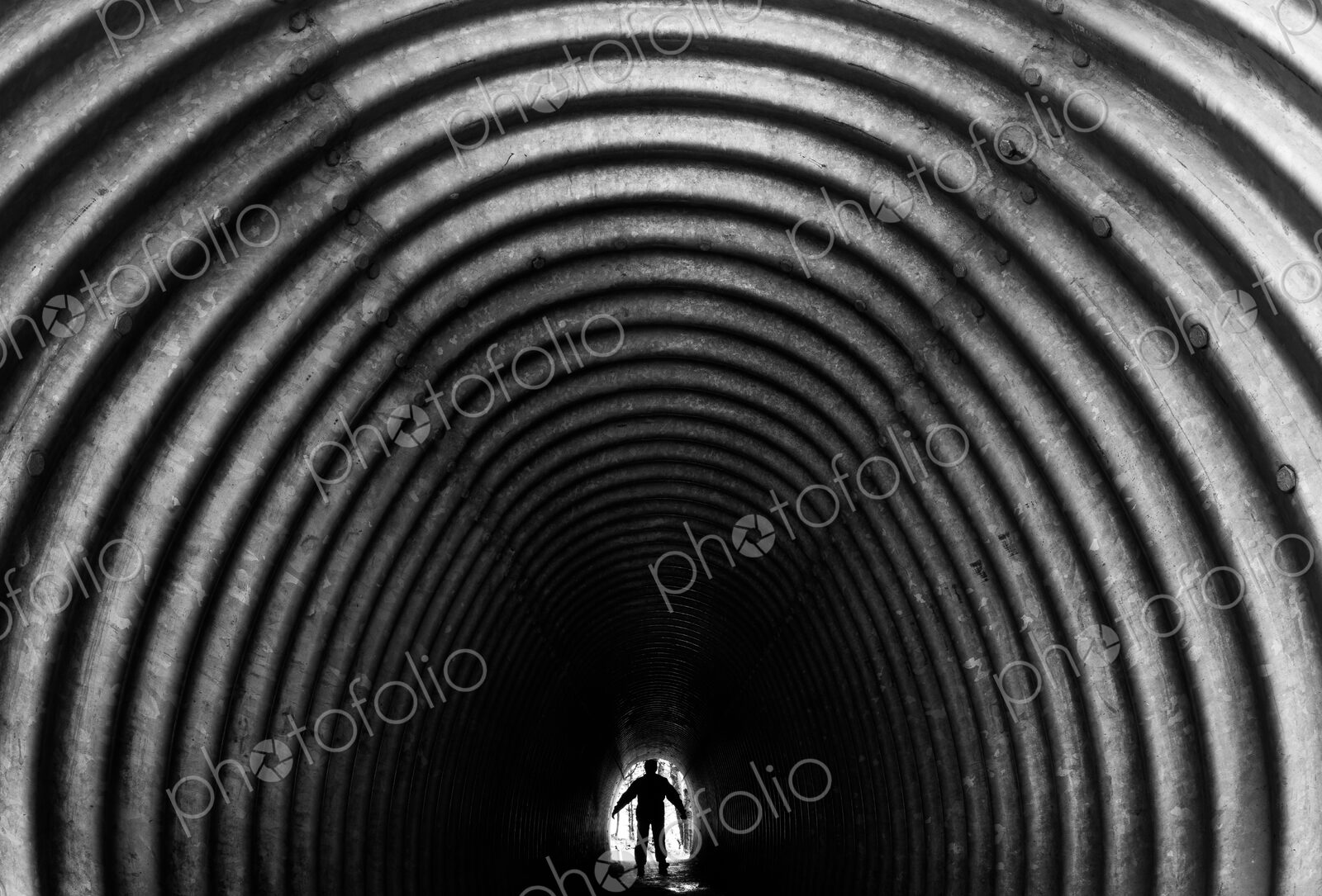 Pedestrian tunnel, Olympic National Park, Washington, USA