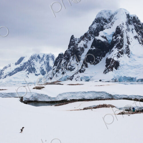 Penguins and people, Antarctica