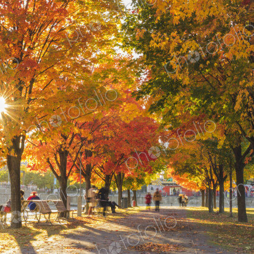 People in park in autumn