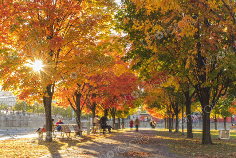 People in park in autumn