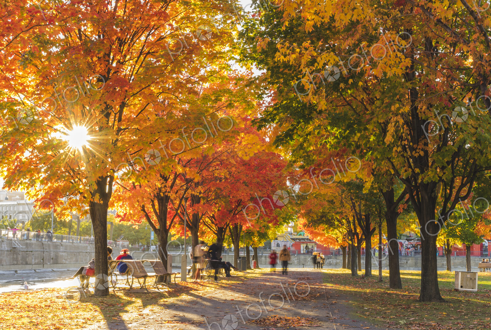 People in park in autumn