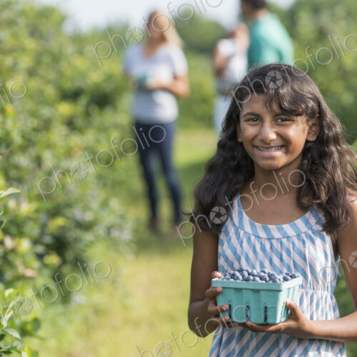 People picking fresh blueberries from the organic grown plants in a field. People picking fresh blueberries from the organic grown plants in a field.