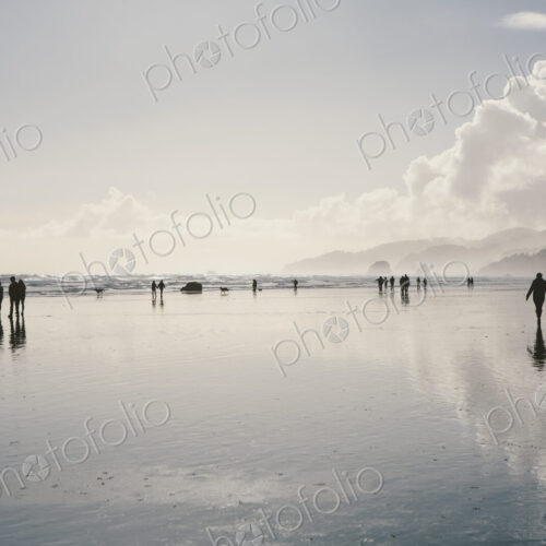 People walking on a vast open beach at low tide standing in shallow water, reflections… People walking on a vast open beach at low tide standing in shallow water, reflections…
