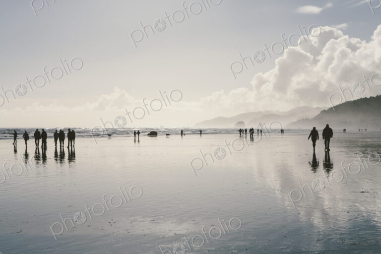People walking on a vast open beach at low tide standing in shallow water, reflections…