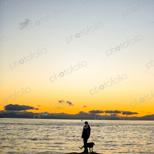 Person and dog enjoying sunset, Seattle, WA, USA