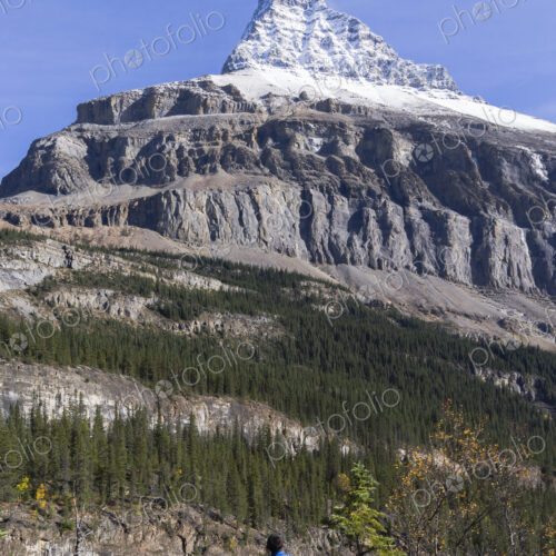 Person looking up at snow-covered Mount Robson.
