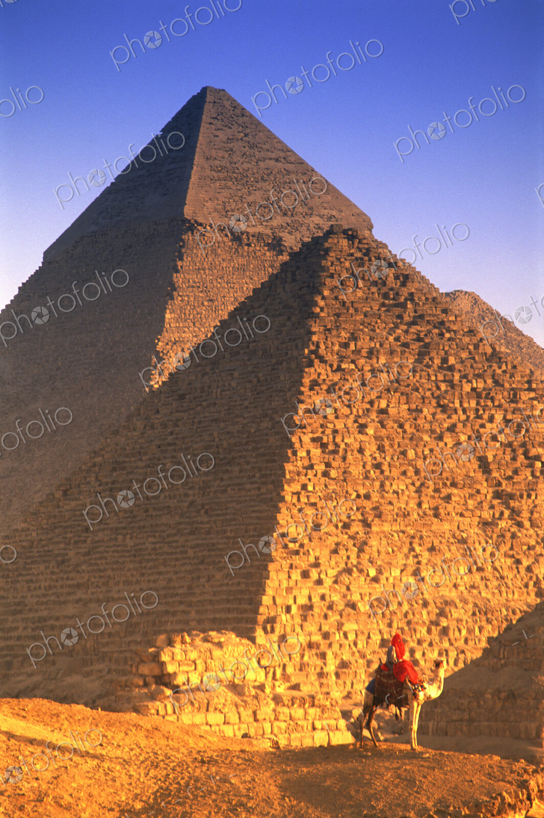 Person on camel in front of Egyptian pyramids.