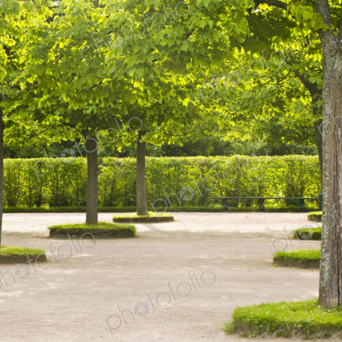 Peterhof Palace gardens, trees, hedges and paths