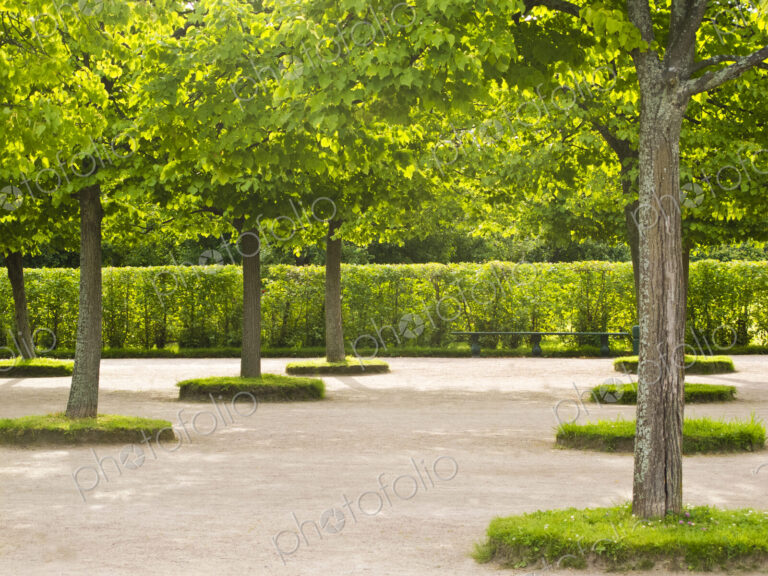Peterhof Palace gardens, trees, hedges and paths