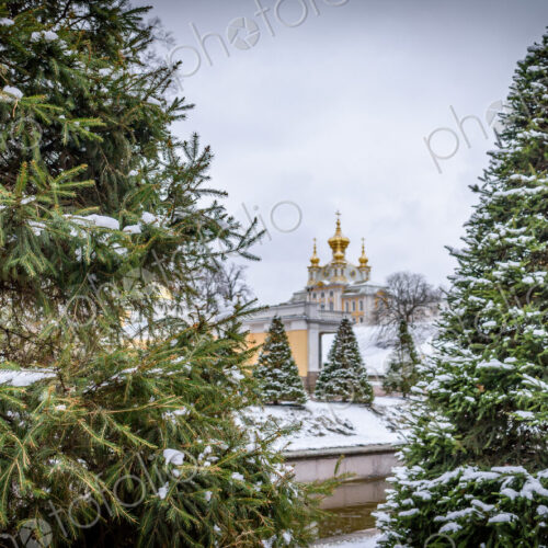 Peterhof, the 18th century summer palace of the Tsars, the gardens in winter, in light… Peterhof, the 18th century summer palace of the Tsars, the gardens in winter, in light…