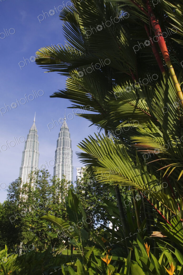 Petronas Towers