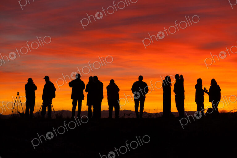 Photographers at sunset, Skagit Flats, Washington