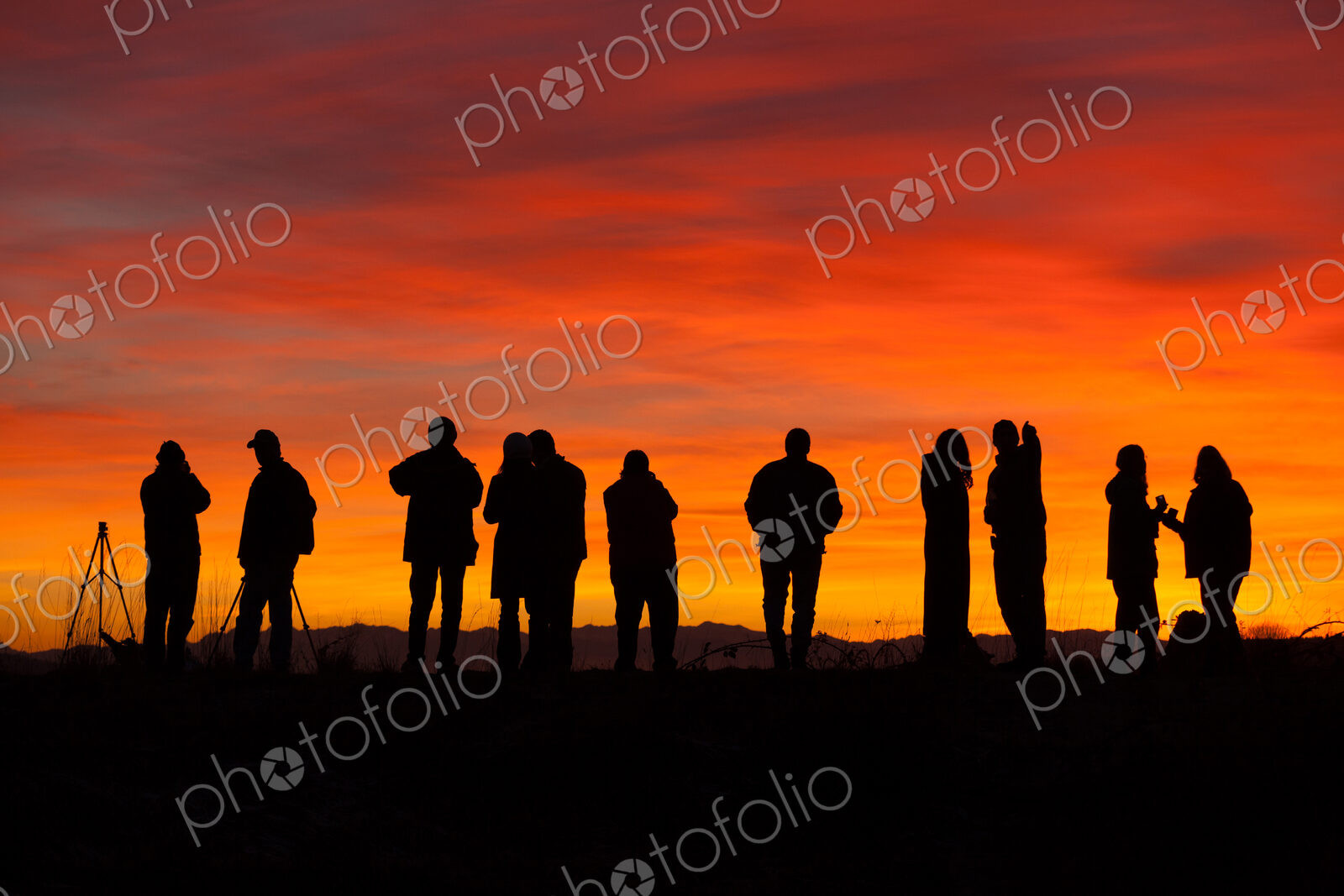 Photographers at sunset, Skagit Flats, Washington