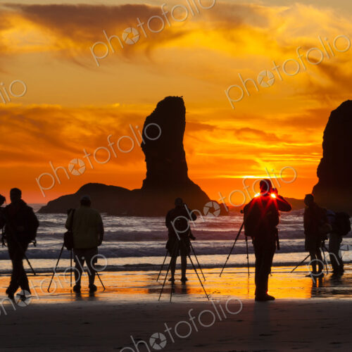 Photographers at sunset at Second Beach, Olympic National Park, Washington, USA Photographers at sunset at Second Beach, Olympic National Park, Washington, USA