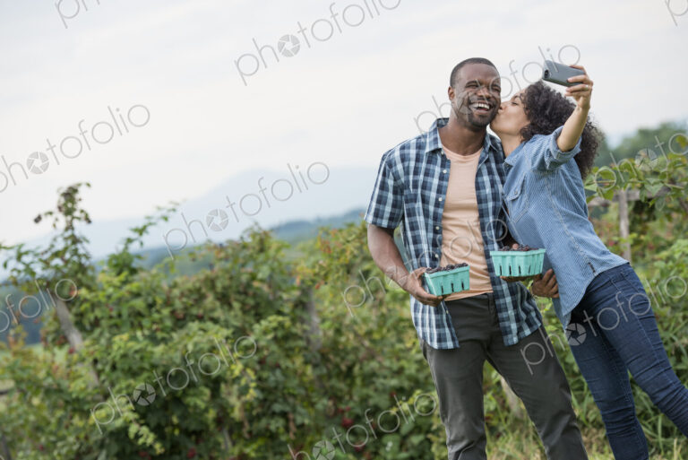 Picking blackberry fruits on an organic farm. A couple taking a selfy with a smart…