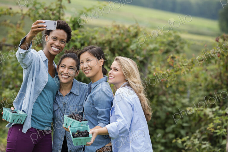 Picking blackberry fruits on an organic farm. Four women posing for a selfy…
