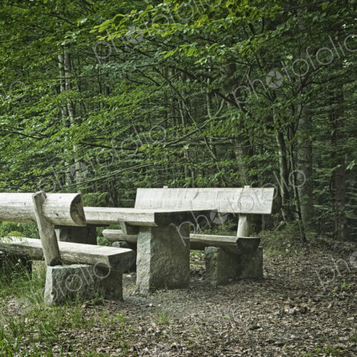 Picnic Area in Forest Picnic Area in Forest