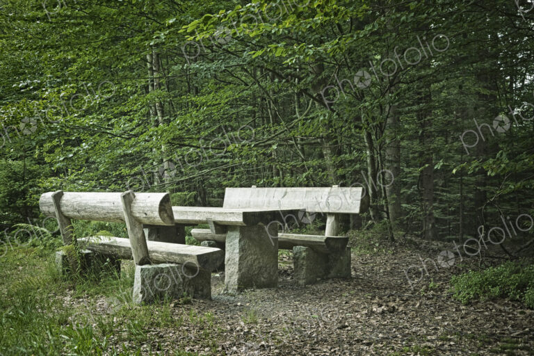 Picnic Area in Forest