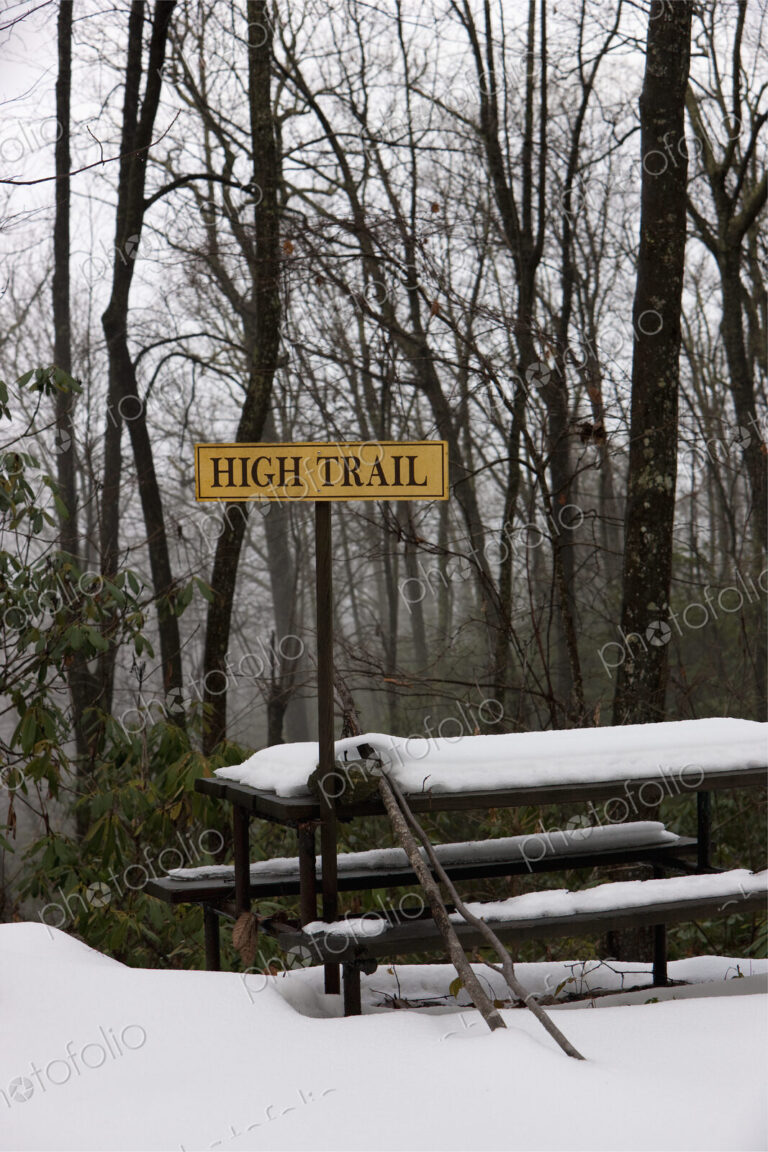 Picnic Table in Snow