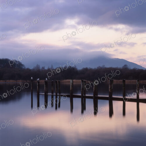Pier Pilings, Cumbria, England