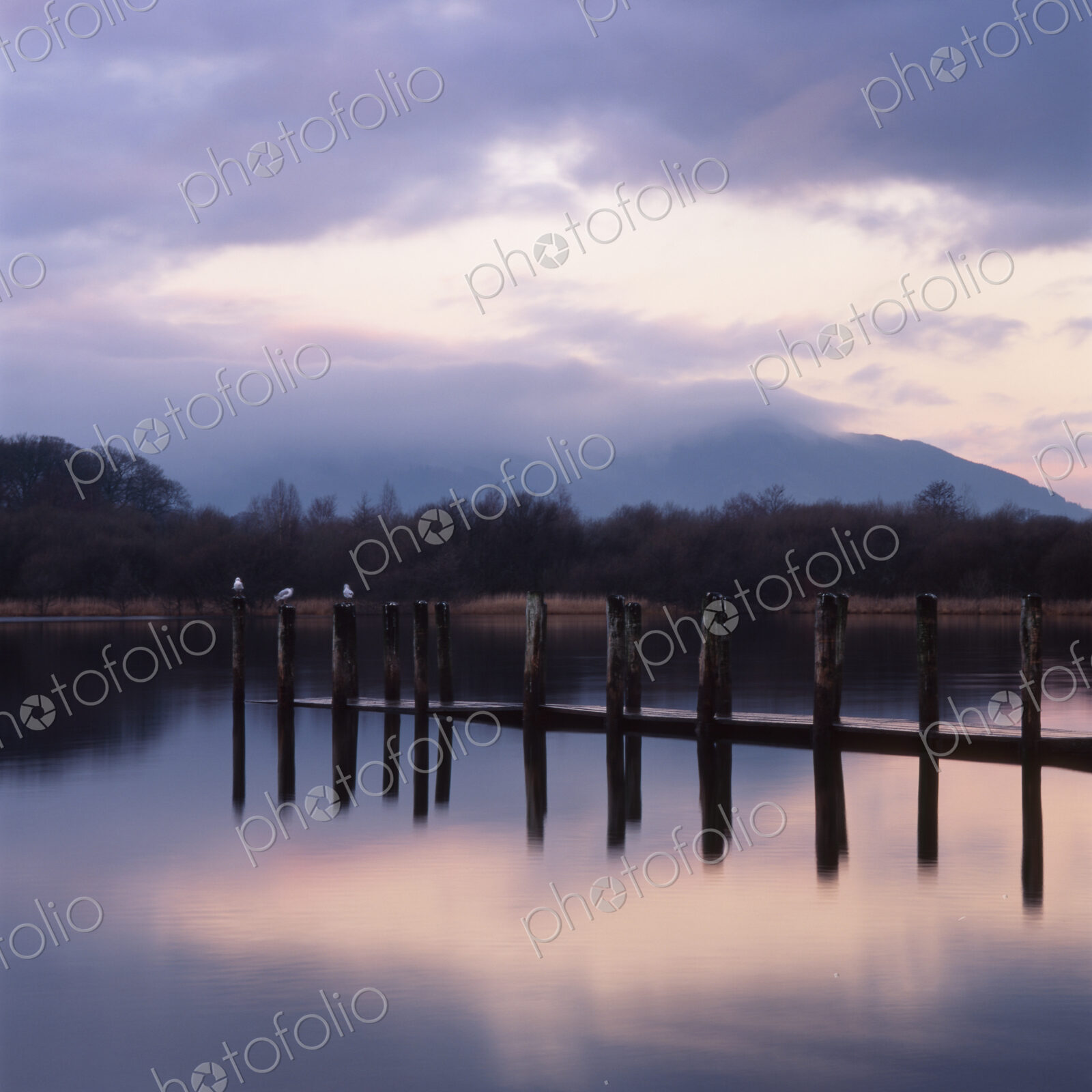 Pier Pilings, Cumbria, England