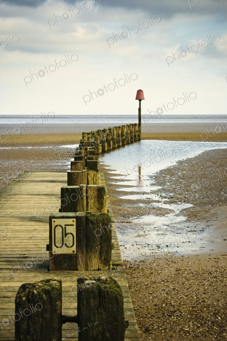 Pier Pilings by the Ocean