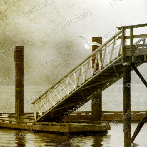 Pier and steps and seagull flying from a perch on a foggy morning, Vancouver.