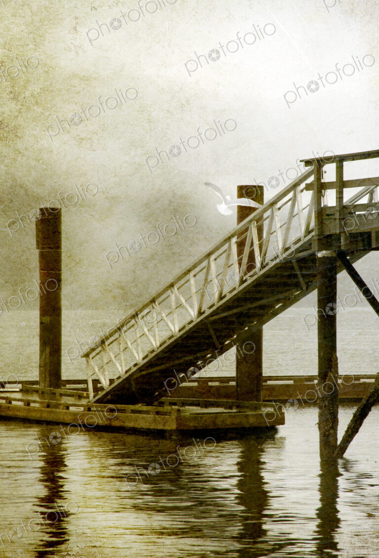 Pier and steps and seagull flying from a perch on a foggy morning, Vancouver.