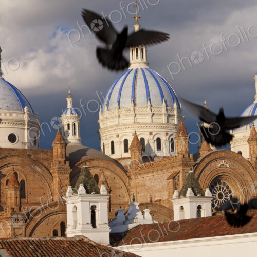 Pigeons mid-air with blue-tile domes of 19th century cathedral in the background. Pigeons mid-air with blue-tile domes of 19th century cathedral in the background.