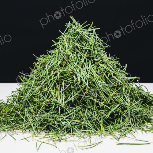 Pile of green Shore pine tree needles, on a white surface. Pile of green Shore pine tree needles, on a white surface.