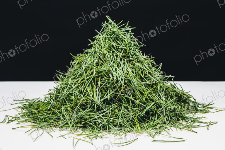 Pile of green Shore pine tree needles, on a white surface.