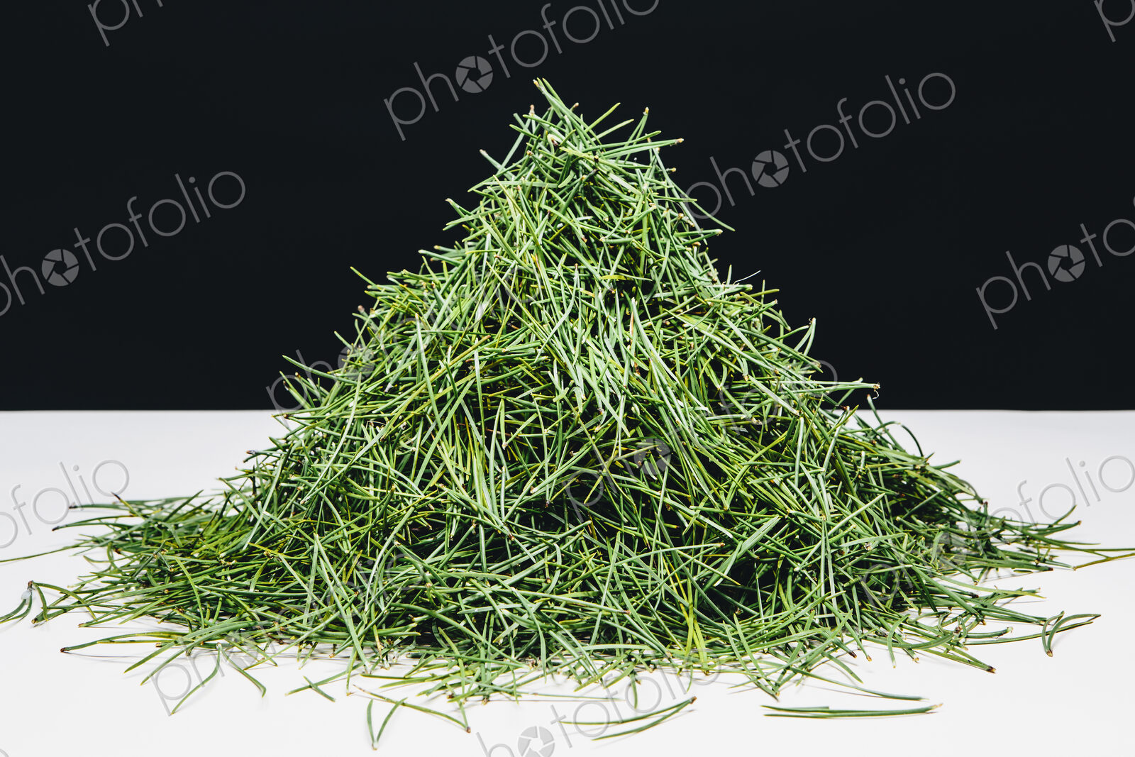 Pile of green Shore pine tree needles, on a white surface.