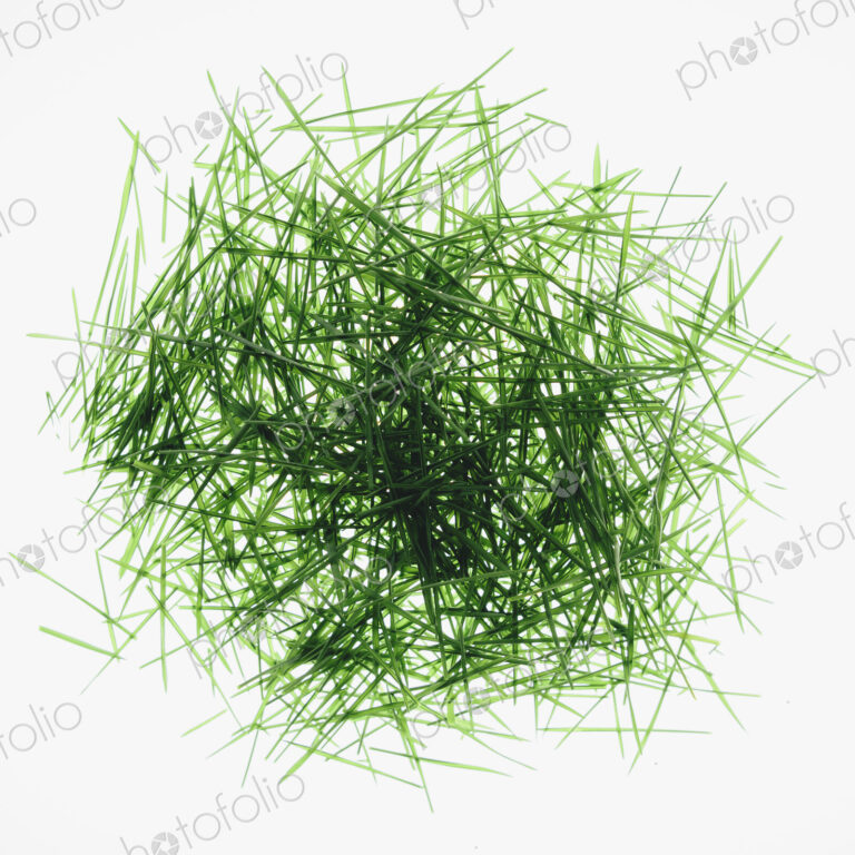 Pile of organic wheatgrass on a white background