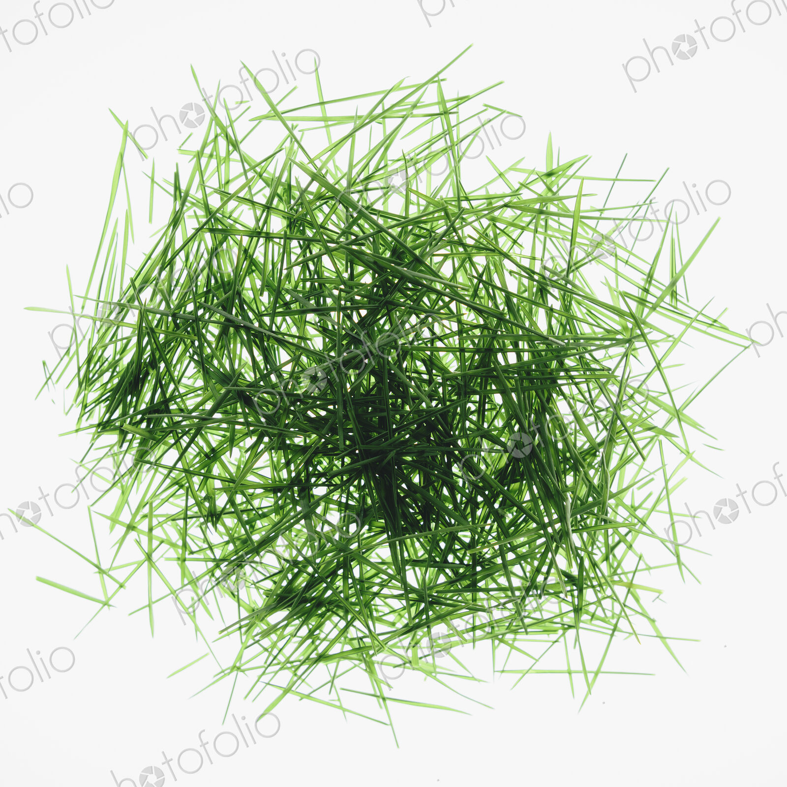 Pile of organic wheatgrass on a white background