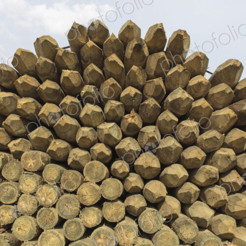 Piles of cut lumber, Eastend, Saskatchewan, Canada. Piles of cut lumber, Eastend, Saskatchewan, Canada.