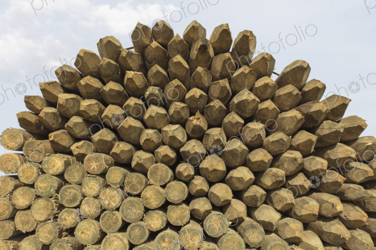 Piles of cut lumber, Eastend, Saskatchewan, Canada.