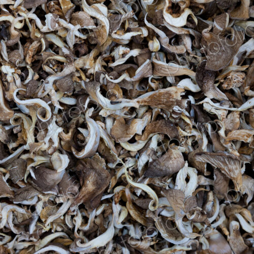 Piles of mushrooms at market, Yuanyang, China Piles of mushrooms at market, Yuanyang, China