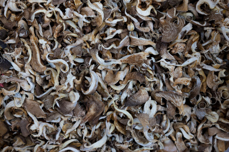 Piles of mushrooms at market, Yuanyang, China