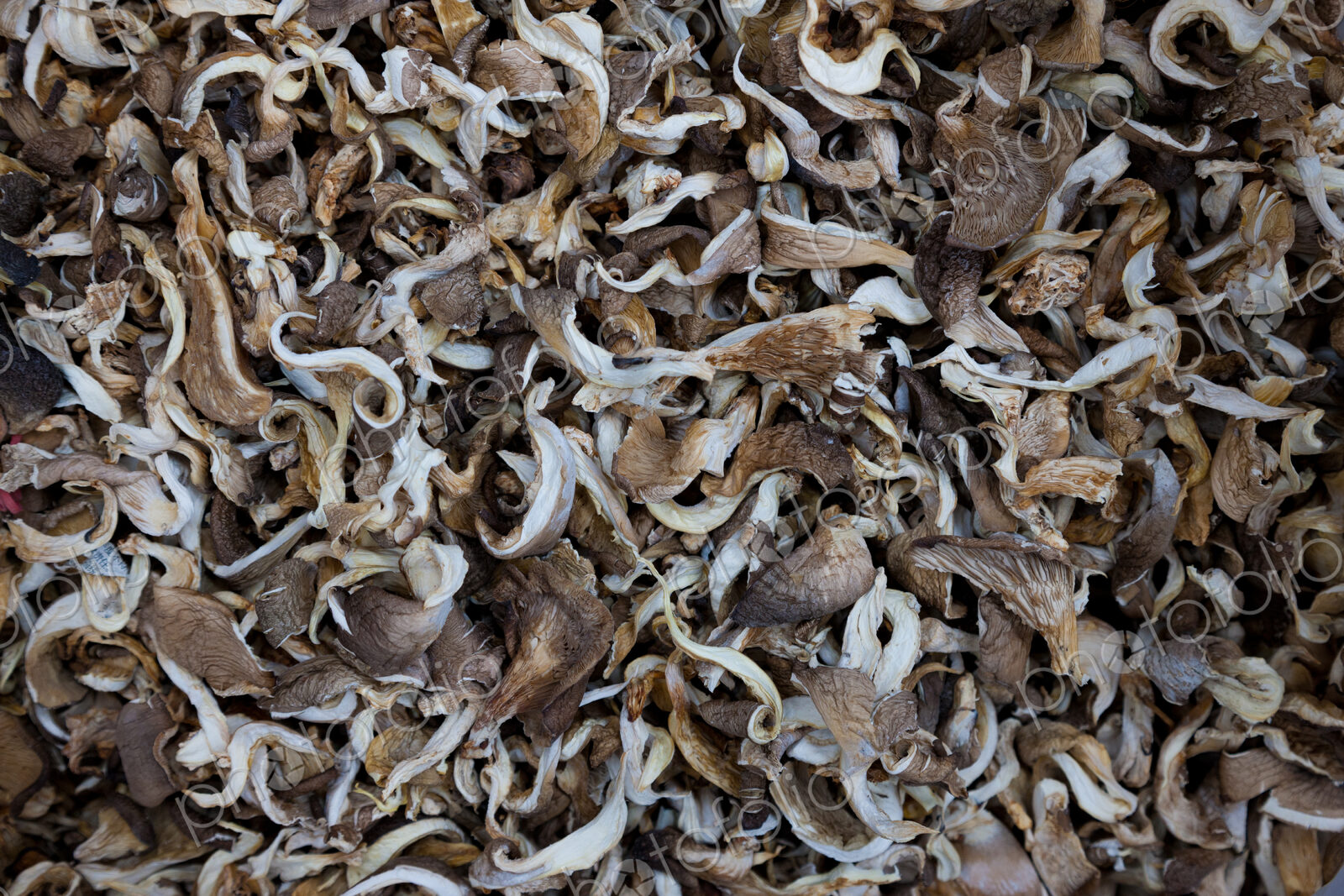 Piles of mushrooms at market, Yuanyang, China