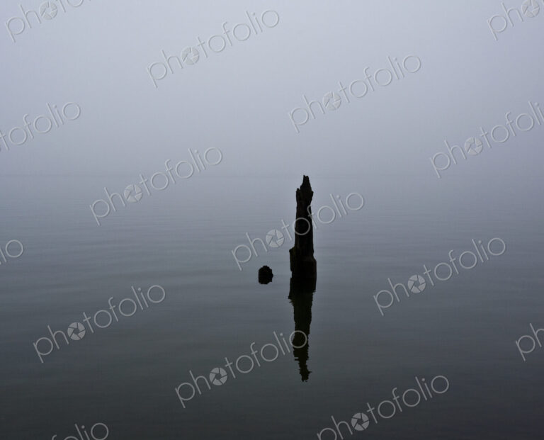 Piling in Water
