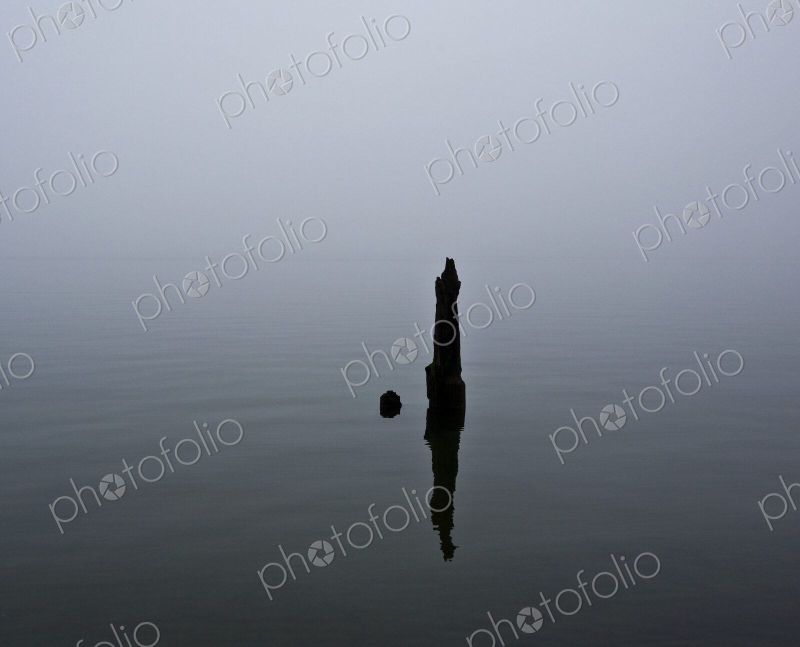 Piling in Water