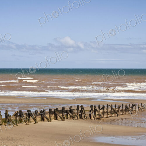 Pilings on Beach
