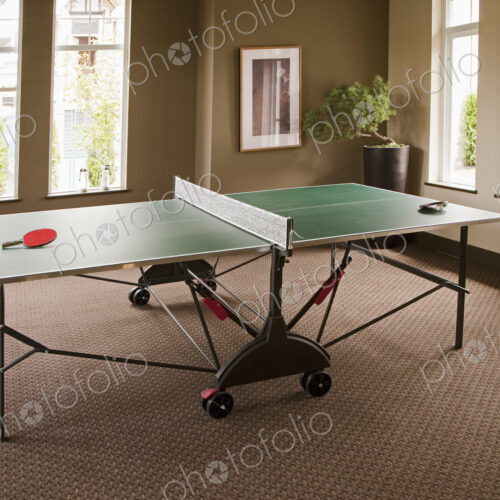 Ping Pong Table