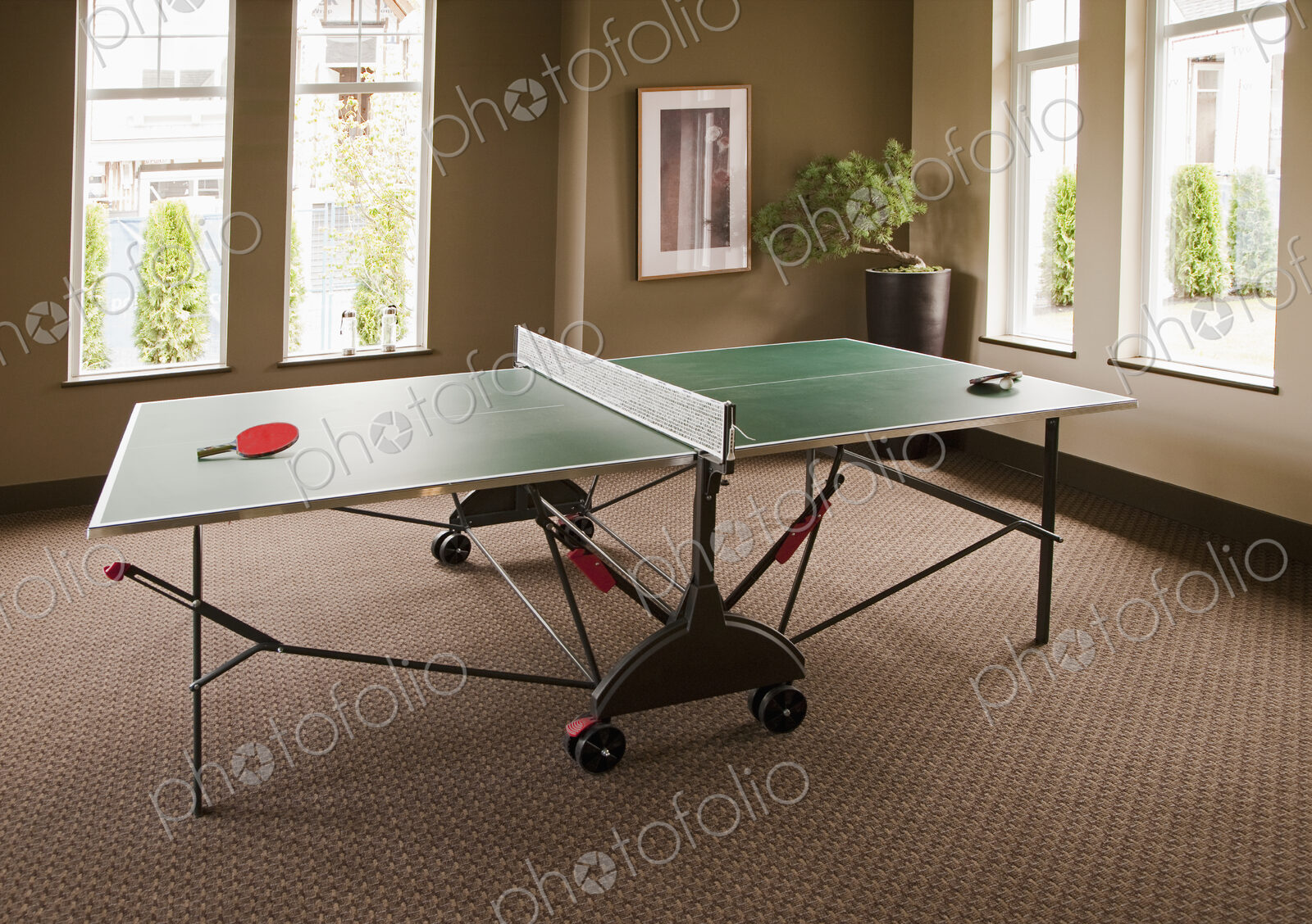 Ping Pong Table