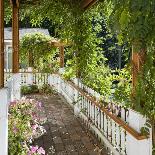 Plant-Covered Walkway Plant-Covered Walkway