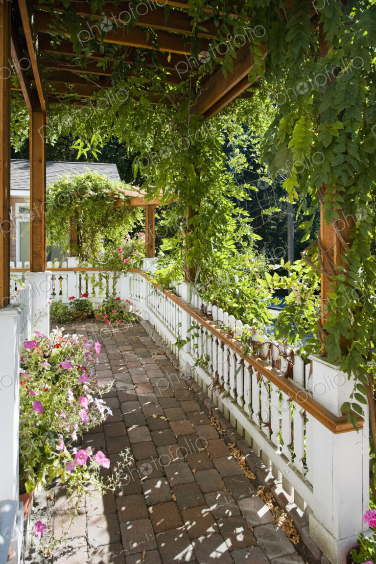 Plant-Covered Walkway
