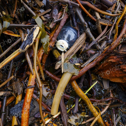 Plastic bottle on beach, Port Angeles